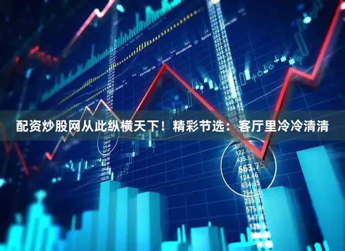 配资炒股网从此纵横天下！精彩节选：客厅里冷冷清清