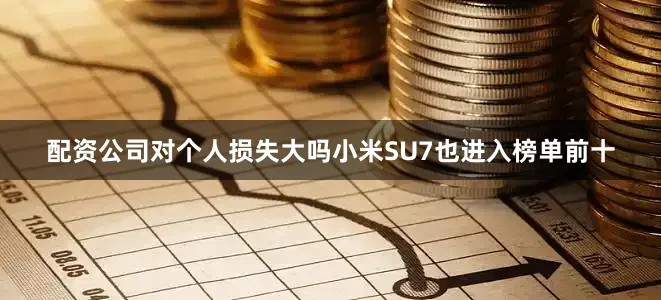 配资公司对个人损失大吗小米SU7也进入榜单前十